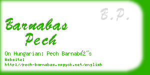 barnabas pech business card